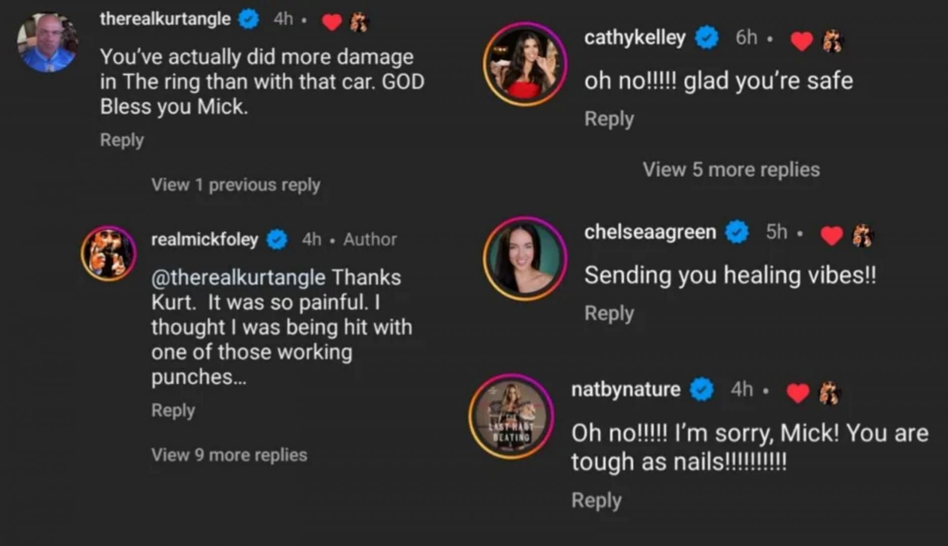 WWE दिग्गज मिक फोली की पोस्ट पर कमेंट्स (Photo: Mick Foley Instagram Comment Screenshots)